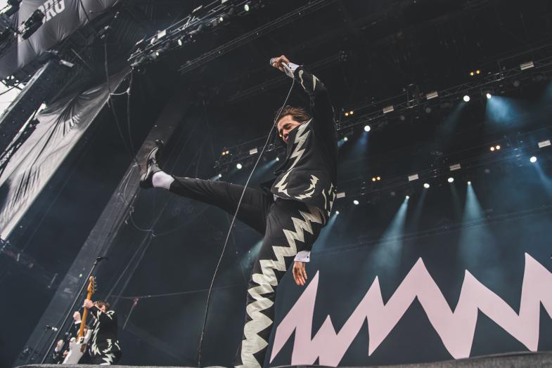 The Hives af Rolf Meldgaard