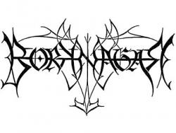 Borknagar