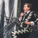 The Hives af Rolf Meldgaard