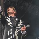 The Hives af Rolf Meldgaard