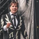 The Hives af Rolf Meldgaard