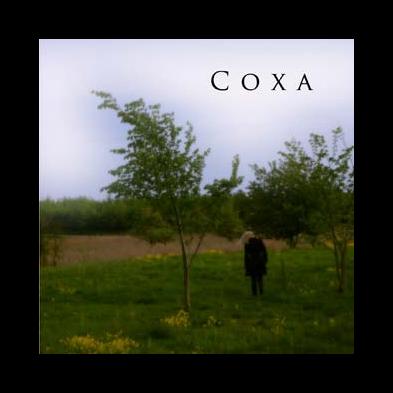 Coxa  - Coxa