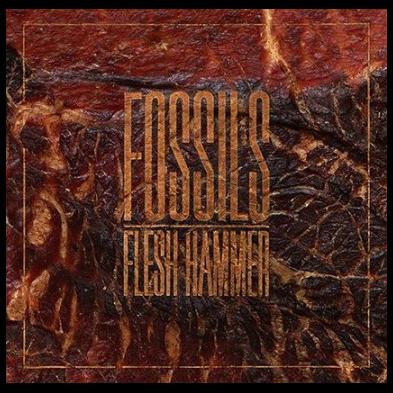 Fossils - Flesh Hammer