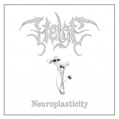 HELGE - Neuroplasticity