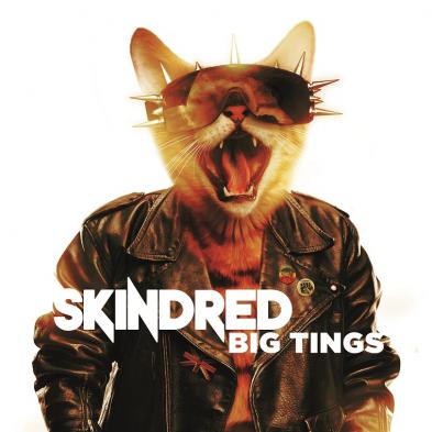 Skindred - Big Tings