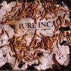 Pure Inc. - Parasites And Worms