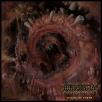 Hyperdontia - Nexus of Teeth