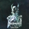 Nachtmystium - Blight Privilege