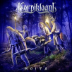 Korpiklaani udgiver video til sangen “Pilli On Pajusta Tehty” 