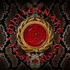 Whitesnake - Flesh & Blood