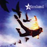 Zebrahead - Phoenix