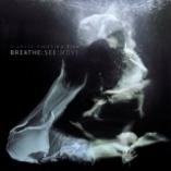 Siamese Fighting Fish - Breathe:See:Move