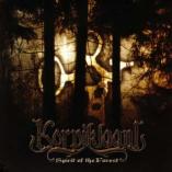 Korpiklaani - Spirit Of The Forest