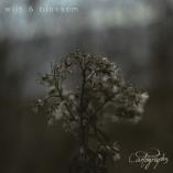 Cartographs - wilt & blossom