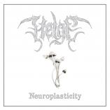 HELGE - Neuroplasticity