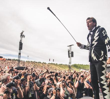 The Hives af Rolf Meldgaard