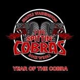 Stream hele <i>Year of the Cobra</i>