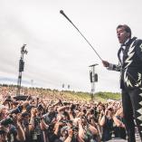 The Hives af Rolf Meldgaard