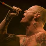 Stone Sour