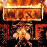 W.A.S.P. 